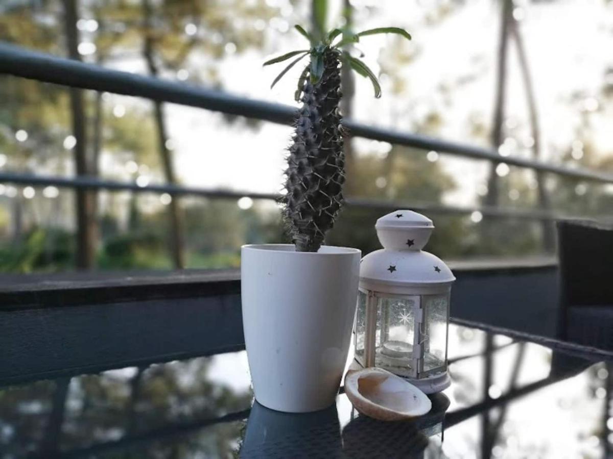אספוסנדה Barca House - Nature - Golf - Pool & Beach מראה חיצוני תמונה